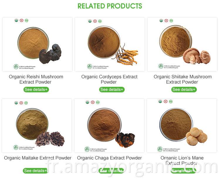 Poudre organique naturelle pure d'extrait de champignon de Shiitake 10%-50% polysaccharides